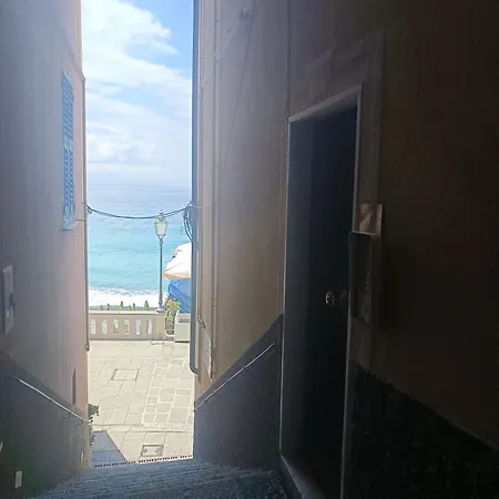 Blue Windows Apartment